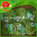 High quality green frozen pea pods